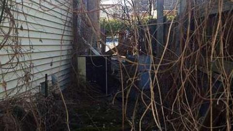 The house - Beep-Beep-Home22.jpg