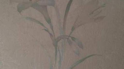 The house - Beep-Beep-Home4.jpg