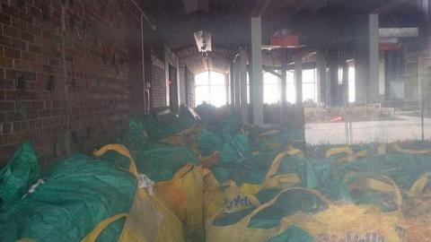 A Short Visit - Regent-ParkDuke-of-York-School5.jpg