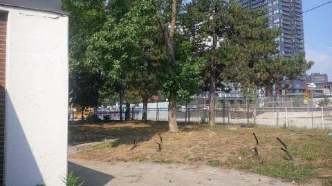 A Short Visit - Regent-ParkDuke-of-York-School7.jpg