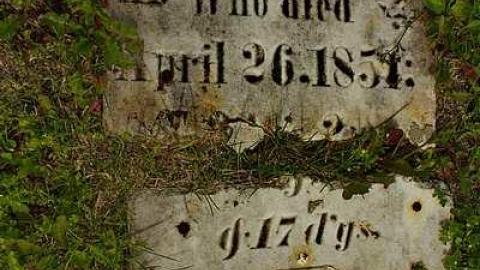 Rainham Pioneer Cemetery photo 4