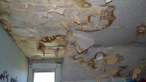 April 2016 - Cullen-Gardens210.jpg