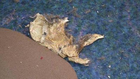 April 2016 - Cullen-Gardens212.jpg