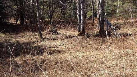 Jerusalem (ghost town) photo 5