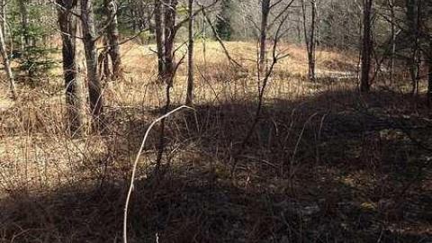 Jerusalem 2016 - Jerusalem-(ghost-town)26.jpg