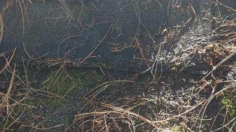 Jerusalem 2016 - Jerusalem-(ghost-town)6.jpg