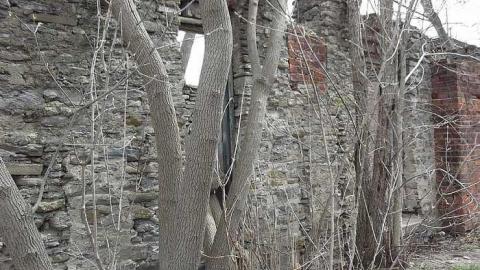 Hyde Mill & Abandoned Autos - Hyde-Mill-Ruins-(Streetsville)41.jpg