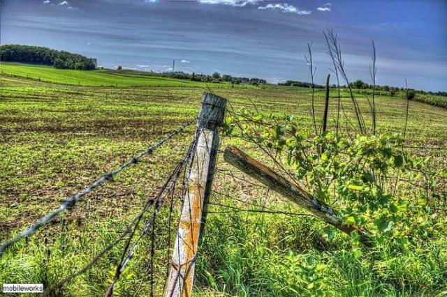 Hallman Pioneer Cemetery Cairn photo 4
