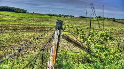 Gone To Be An Angel - Hallman-Pioneer-Cemetery-Cairn31.jpg