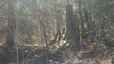 Jerusalem 2016 - Jerusalem-(ghost-town)20.jpg