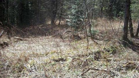 Jerusalem 2016 - Jerusalem-(ghost-town)21.jpg