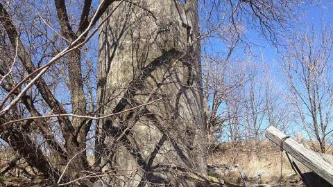 Photo from Hidden Decay