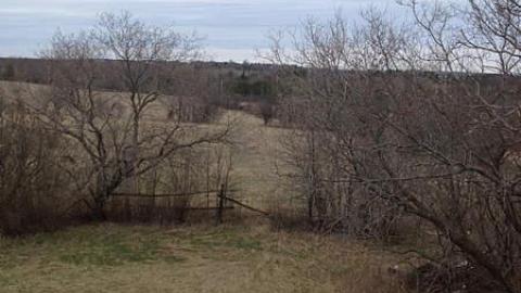 what a view - IMG_1839.jpg