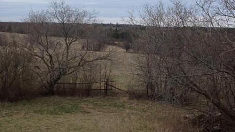 what a view - IMG_1840.jpg