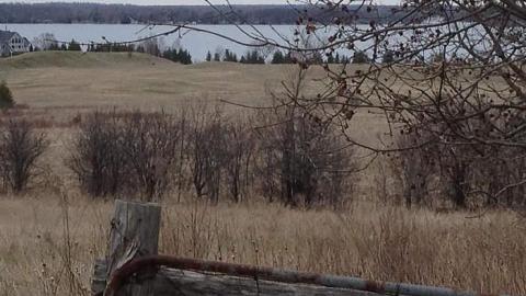 what a view - IMG_1846.jpg