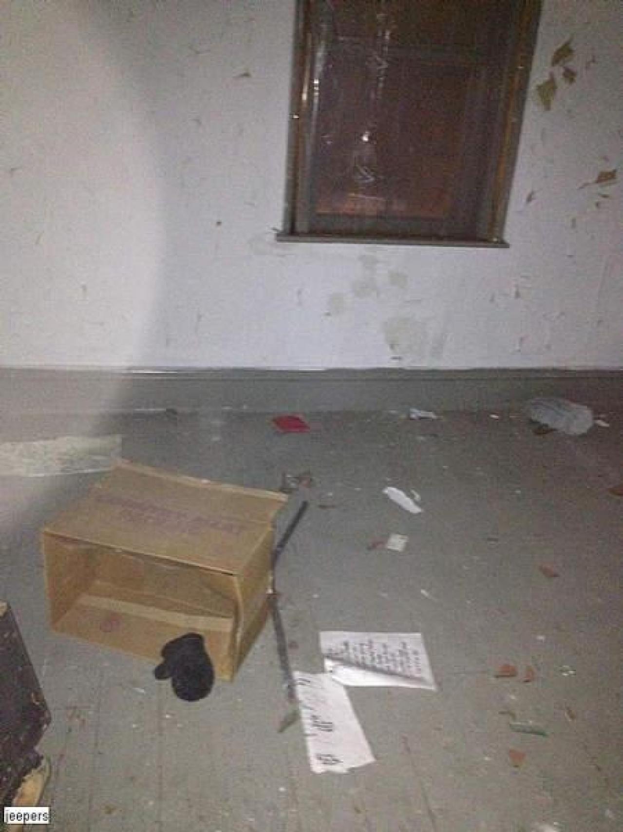 what a view - IMG_1836.jpg