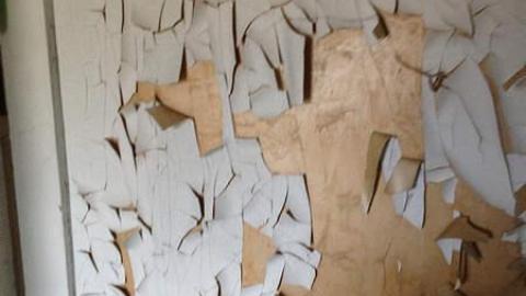 what a view - IMG_1844.jpg