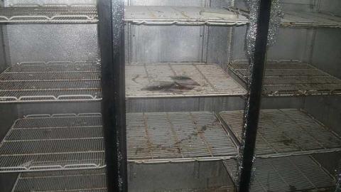 Highway resturant - Stop-50-Truck-Stop23.jpg