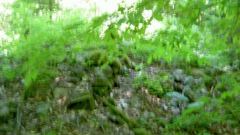 Ghost Towns of Muskoka - Muskoka-s-Lost-Ghost-Towns63.jpg