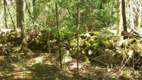 Ghost Towns of Muskoka - Muskoka-s-Lost-Ghost-Towns65.jpg