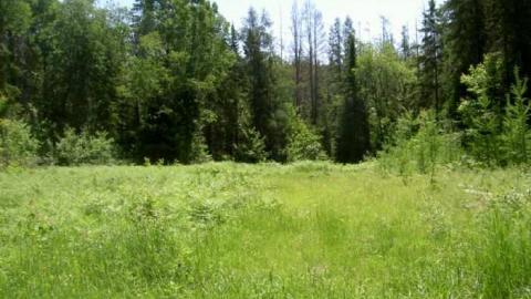 Ghost Towns of Muskoka - Muskoka-s-Lost-Ghost-Towns66.jpg