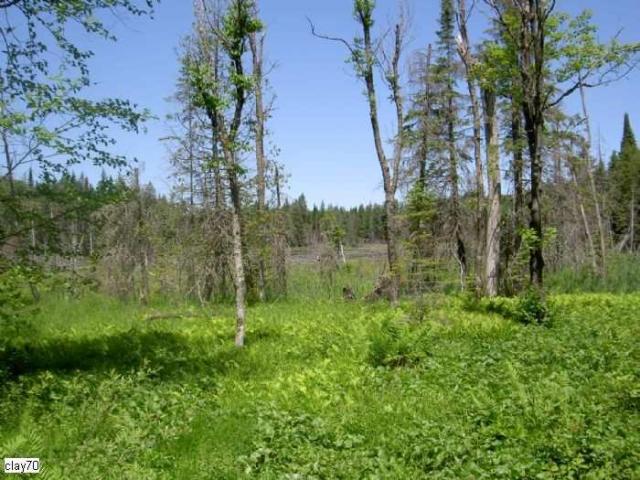 Muskoka' s Lost Ghost Towns photo 5