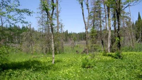 Ghost Towns of Muskoka - Muskoka-s-Lost-Ghost-Towns67.jpg