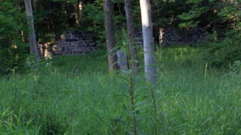 One kid here may be guilty - Monsell-(Orma-Jones-Tragedy)49.jpg