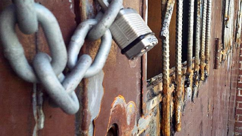 BSPS Photographs  - Bowmanville-Senior-Public-School353.png