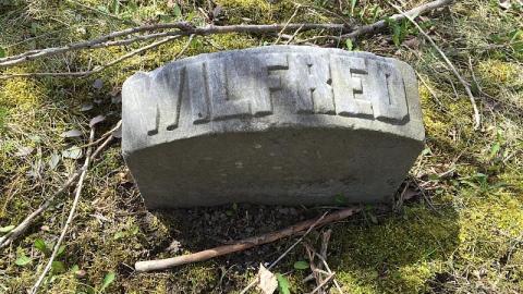 Pioneer cemetery - Bethel-Union-Pioneer-Cemetery19.jpeg