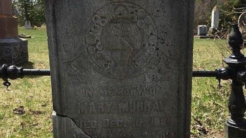 Pioneer cemetery - Bethel-Union-Pioneer-Cemetery21.jpeg
