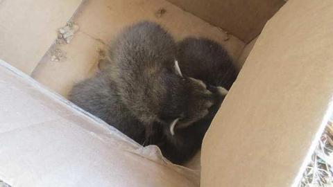 Crumbling - Stone-Something23.jpg