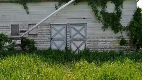 Photo from Pilar Barn