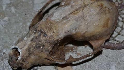 April 2016 - House-with-a-View5.jpg