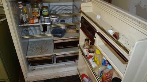 April 2016 - DSC_0162.jpg