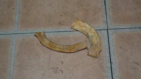 April 2016 - DSC_0174.jpg