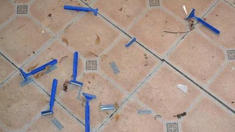 April 2016 - DSC_0175.jpg