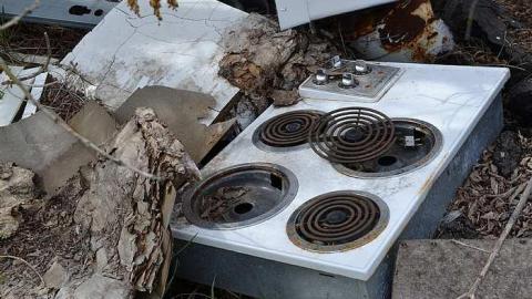 April 2016 - DSC_0185.jpg