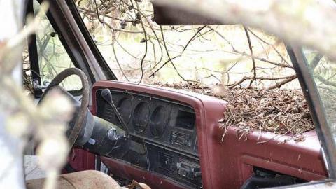 Photo from April 2016