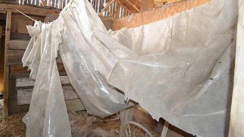 April 2016 - DSC_0198.jpg