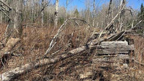 DonSal's Memories - Rose-Hill-(ghost-farms)30.jpg