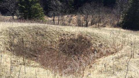 DonSal's Memories - Rose-Hill-(ghost-farms)42.jpg