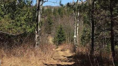 DonSal's Memories - Rose-Hill-(ghost-farms)43.jpg