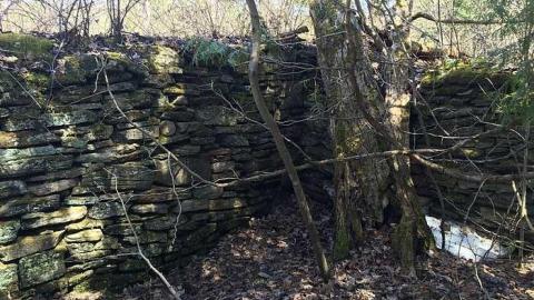 DonSal's Memories - Rose-Hill-(ghost-farms)31.jpg