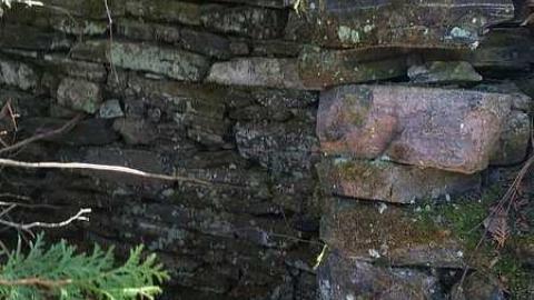 DonSal's Memories - Rose-Hill-(ghost-farms)44.jpg