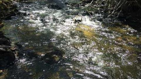 DonSal's Memories - Rose-Hill-(ghost-farms)45.jpg