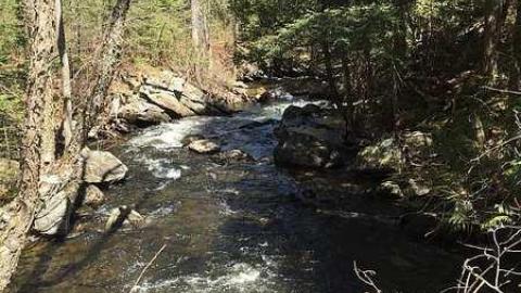 DonSal's Memories - Rose-Hill-(ghost-farms)33.jpg