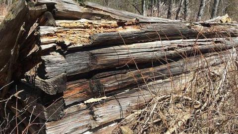 DonSal's Memories - Rose-Hill-(ghost-farms)47.jpg