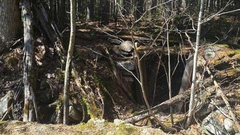 DonSal's Memories - Rose-Hill-(ghost-farms)49.jpg