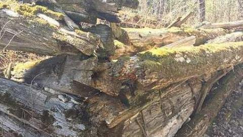 DonSal's Memories - Rose-Hill-(ghost-farms)38.jpg